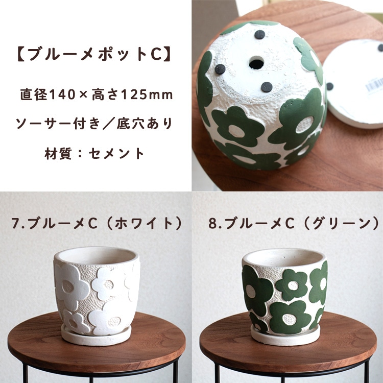 ���֤���� ���ޤ������ֵ���δ󤻿���in�ݥå�(5�極����)��