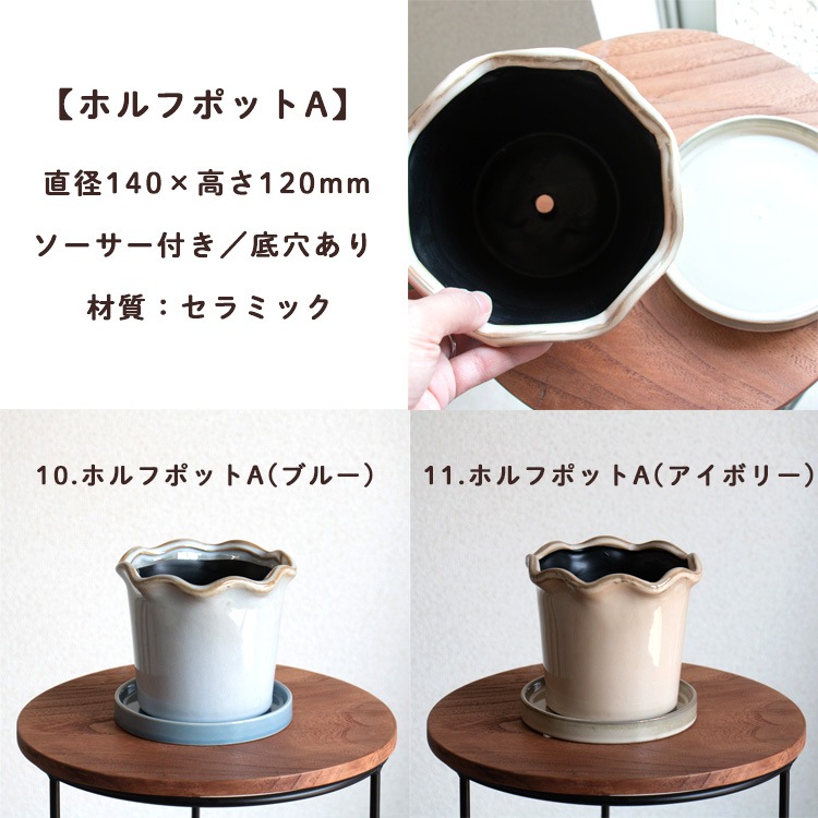 ���֤���� ���ޤ������ֵ���δ󤻿���in�ݥå�(5�極����)��