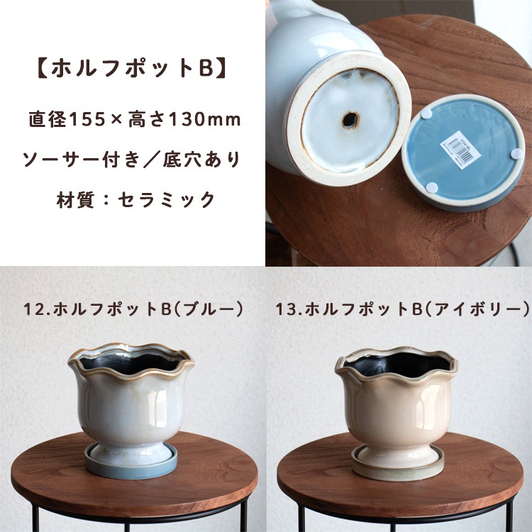 ���֤���� ���ޤ������ֵ���δ󤻿���in�ݥå�(5�極����)��