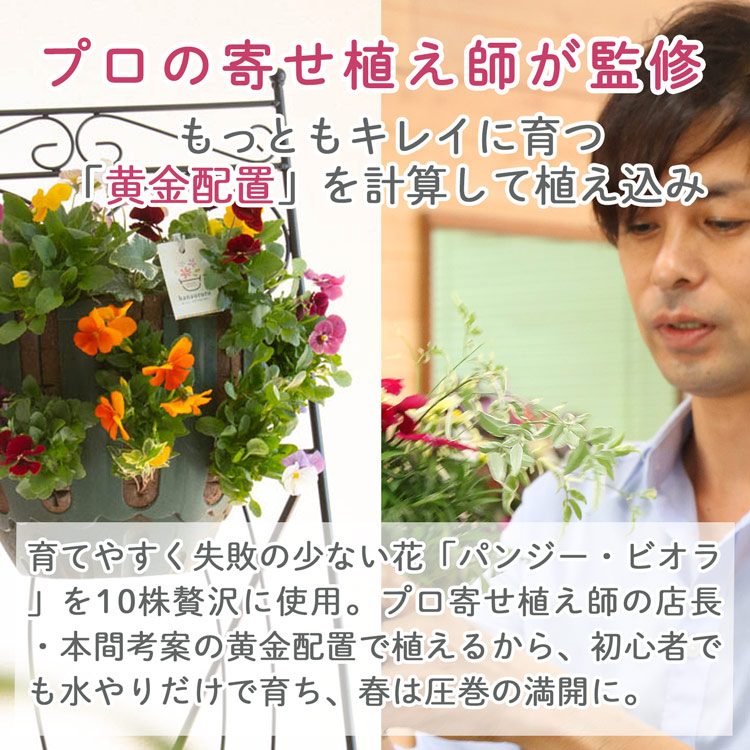 ӥΥϥ󥮥󥰥Хå 󤻿 [ɥåMIX] M ץ