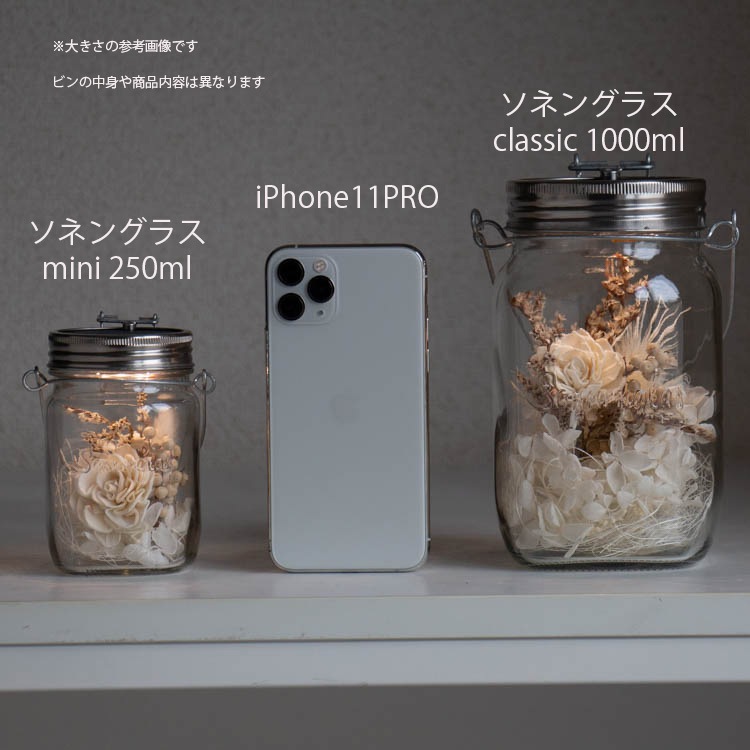 ���ͥ󥰥饹mini�߲֤�����d��(��������Ź)(�ݾڽ��� �����ͥ󥰥饹 250ml  Genelation6��