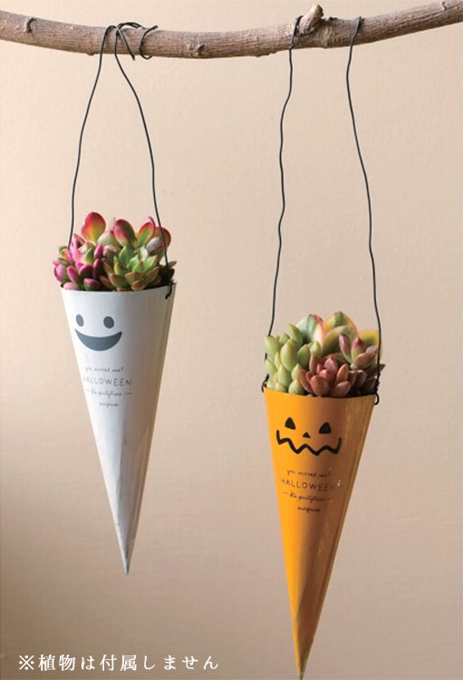 �ϥ������� ���� HW�֥ꥭ������ݥå� 3���HW518��