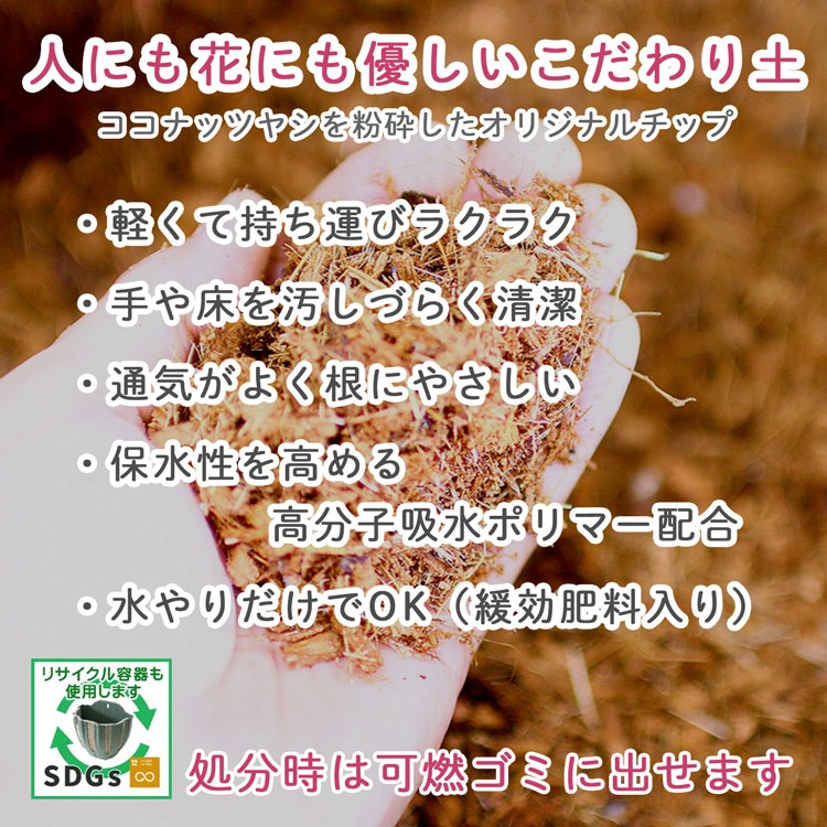 ӥΥϥ󥮥󥰥Хå ֤ 󤻿 [JP-mix] M ץ