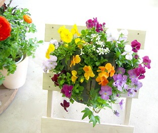 ӥΥϥ󥮥󥰥Хå ֤ 󤻿 [쥤ɥå] M ץ