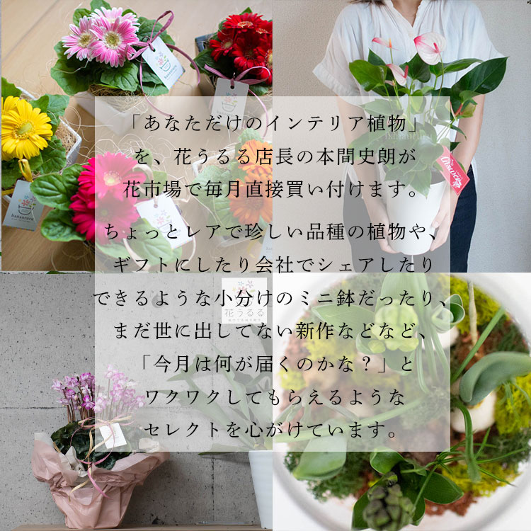 ֤ŹĹ쥯ȡڥƥꥢե꡼ء