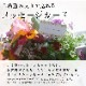 ������&���̸��꡿ �֤����󤻿�������󥸡ڵ��ڻ�ν����������� �󤻿�����