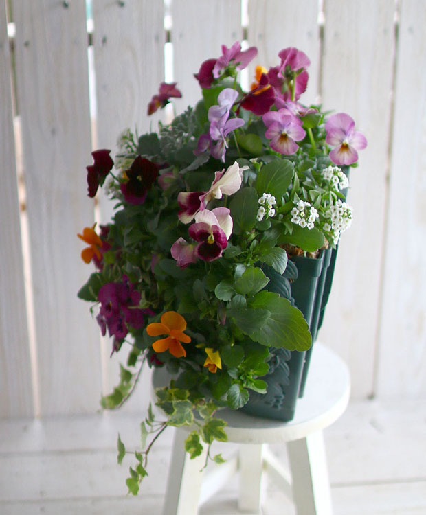 ѥ󥸡ӥΥϥ󥮥󥰥Хå ֤ 󤻿 [ץߥ] L