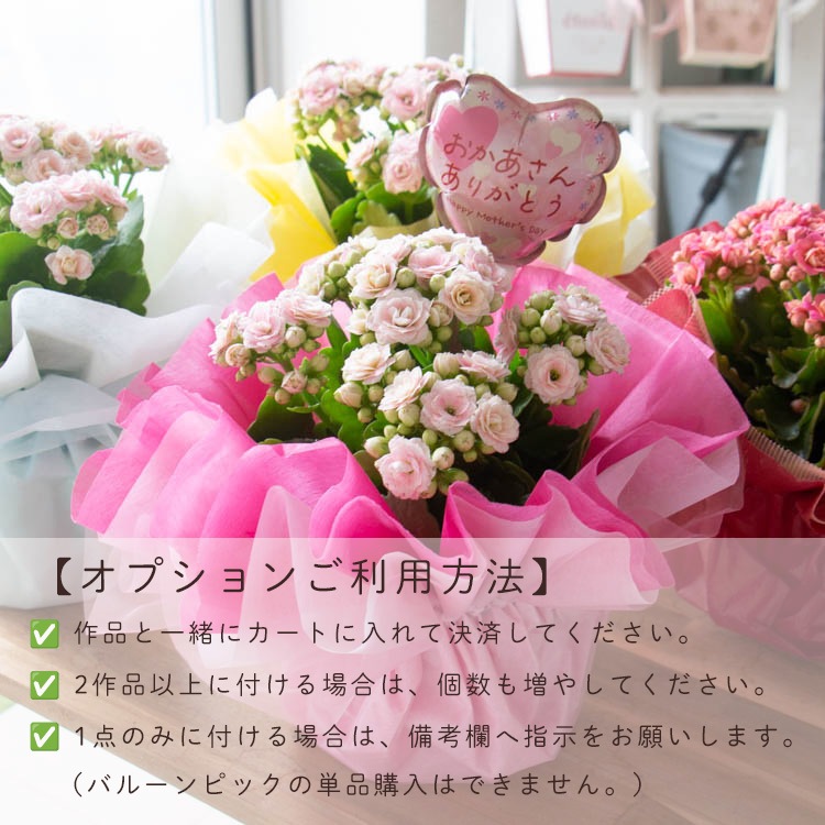 ������� �٤�Ƥ������������֤���� ���٤륮�եȥХå�or�ڹ����ե���åԥ󥰡ڥ����͡�����󡦥���󥳥��۲� ȭ���� ������� ������ ȭ �� �� ��ȭ ���� �ե����ե� �� ���� ���� ��� £��ʪ Ĺ���� ���� ���� �ԥ� ��å� ���� ��������ե�2026