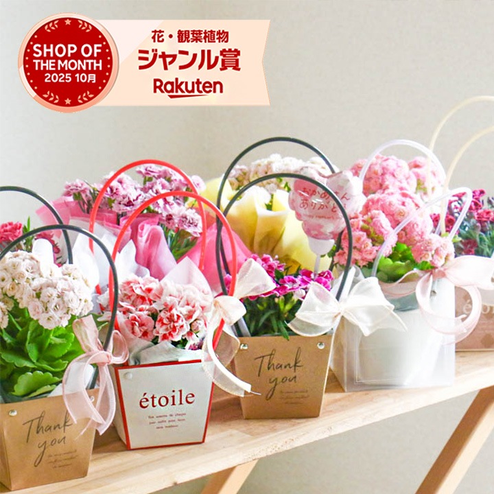 ������� �٤�Ƥ������������֤���� ���٤륮�եȥХå�or�ڹ����ե���åԥ󥰡ڥ����͡�����󡦥���󥳥��۲� ȭ���� ������� ������ ȭ �� �� ��ȭ ���� �ե����ե� �� ���� ���� ��� £��ʪ Ĺ���� ���� ���� �ԥ� ��å� ���� ��������ե�2026