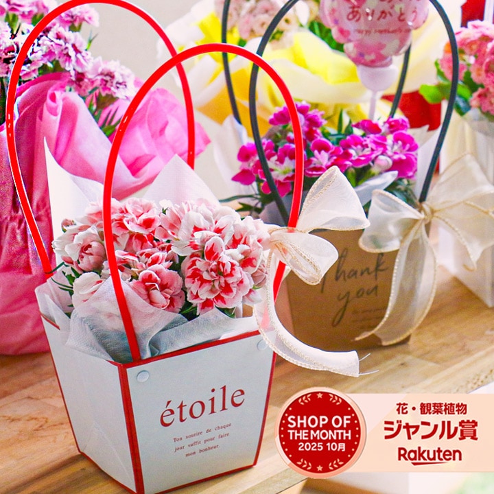 ������� �٤�Ƥ������������֤���� ���٤륮�եȥХå�or�ڹ����ե���åԥ󥰡ڥ����͡�����󡦥���󥳥��۲� ȭ���� ������� ������ ȭ �� �� ��ȭ ���� �ե����ե� �� ���� ���� ��� £��ʪ Ĺ���� ���� ���� �ԥ� ��å� ���� ��������ե�2026