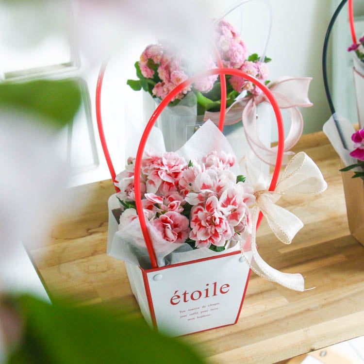 ������� �٤�Ƥ������������֤���� ���٤륮�եȥХå�or�ڹ����ե���åԥ󥰡ڥ����͡�����󡦥���󥳥��۲� ȭ���� ������� ������ ȭ �� �� ��ȭ ���� �ե����ե� �� ���� ���� ��� £��ʪ Ĺ���� ���� ���� �ԥ� ��å� ���� ��������ե�2026