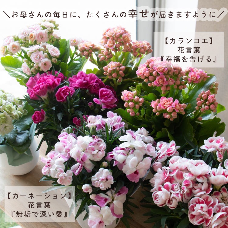 ������� �٤�Ƥ������������֤���� ���٤륮�եȥХå�or�ڹ����ե���åԥ󥰡ڥ����͡�����󡦥���󥳥��۲� ȭ���� ������� ������ ȭ �� �� ��ȭ ���� �ե����ե� �� ���� ���� ��� £��ʪ Ĺ���� ���� ���� �ԥ� ��å� ���� ��������ե�2026