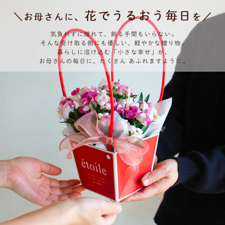 ������� �٤�Ƥ������������֤���� ���٤륮�եȥХå�or�ڹ����ե���åԥ󥰡ڥ����͡�����󡦥���󥳥��۲� ȭ���� ������� ������ ȭ �� �� ��ȭ ���� �ե����ե� �� ���� ���� ��� £��ʪ Ĺ���� ���� ���� �ԥ� ��å� ���� ��������ե�2026