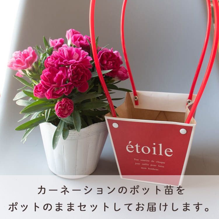 ������� �٤�Ƥ������������֤���� ���٤륮�եȥХå�or�ڹ����ե���åԥ󥰡ڥ����͡�����󡦥���󥳥��۲� ȭ���� ������� ������ ȭ �� �� ��ȭ ���� �ե����ե� �� ���� ���� ��� £��ʪ Ĺ���� ���� ���� �ԥ� ��å� ���� ��������ե�2026