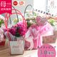 ������� �٤�Ƥ������������֤���� ���٤륮�եȥХå�or�ڹ����ե���åԥ󥰡ڥ����͡�����󡦥���󥳥��۲� ȭ���� ������� ������ ȭ �� �� ��ȭ ���� �ե����ե� �� ���� ���� ��� £��ʪ Ĺ���� ���� ���� �ԥ� ��å� ���� ��������ե�2026