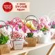������� �٤�Ƥ������������֤���� ���٤륮�եȥХå�or�ڹ����ե���åԥ󥰡ڥ����͡�����󡦥���󥳥��۲� ȭ���� ������� ������ ȭ �� �� ��ȭ ���� �ե����ե� �� ���� ���� ��� £��ʪ Ĺ���� ���� ���� �ԥ� ��å� ���� ��������ե�2026