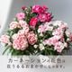������� �٤�Ƥ������������֤���� ���٤륮�եȥХå�or�ڹ����ե���åԥ󥰡ڥ����͡�����󡦥���󥳥��۲� ȭ���� ������� ������ ȭ �� �� ��ȭ ���� �ե����ե� �� ���� ���� ��� £��ʪ Ĺ���� ���� ���� �ԥ� ��å� ���� ��������ե�2026