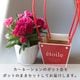 ������� �٤�Ƥ������������֤���� ���٤륮�եȥХå�or�ڹ����ե���åԥ󥰡ڥ����͡�����󡦥���󥳥��۲� ȭ���� ������� ������ ȭ �� �� ��ȭ ���� �ե����ե� �� ���� ���� ��� £��ʪ Ĺ���� ���� ���� �ԥ� ��å� ���� ��������ե�2026