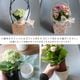 ������� �٤�Ƥ������������֤���� ���٤륮�եȥХå�or�ڹ����ե���åԥ󥰡ڥ����͡�����󡦥���󥳥��۲� ȭ���� ������� ������ ȭ �� �� ��ȭ ���� �ե����ե� �� ���� ���� ��� £��ʪ Ĺ���� ���� ���� �ԥ� ��å� ���� ��������ե�2026