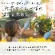 ӥΥϥ󥮥󥰥Хå 󤻿 [ѥƥС] M ץ