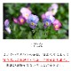 ӥΥϥ󥮥󥰥Хå 󤻿 [ѥƥС] M ץ