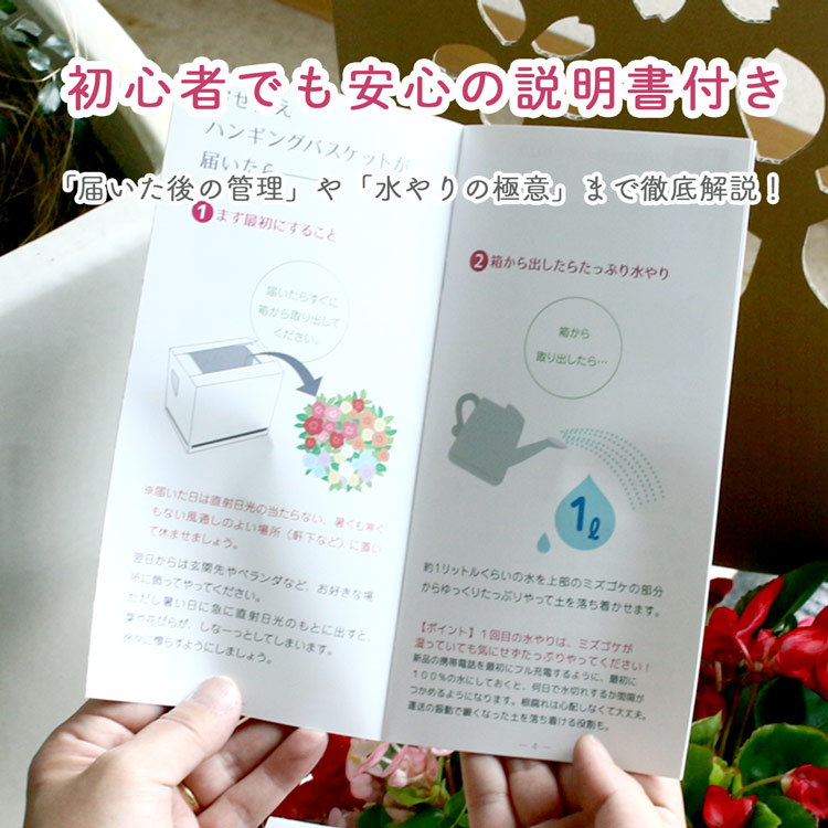ӥΥϥ󥮥󥰥Хå 󤻿 [] M ץ 