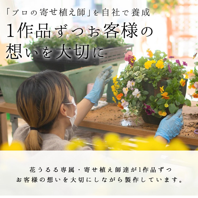 ӥΥϥ󥮥󥰥Хå 󤻿 [] M ץ 