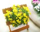 ӥΥϥ󥮥󥰥Хå 󤻿 [] M ץ 