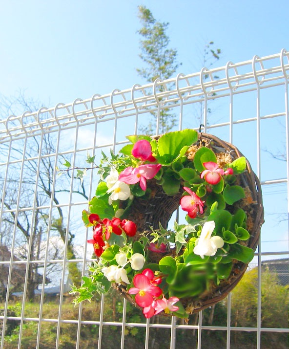 ֥٥˥Υϥ󥮥 󥰡׽դս˳