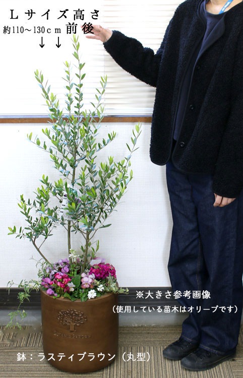 �桼����ɥݥݥ饹�ɤ� �֤���� �󤻿���[�饰���奢�꡼����ƥ� L]�⤵110cm��140cm