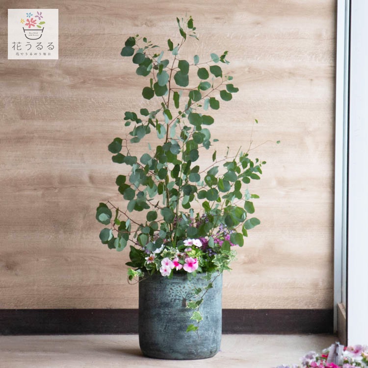 �桼����ɥݥݥ饹�ɤ� �֤���� �󤻿���[�饰���奢�꡼����ƥ� L]�⤵110cm��140cm