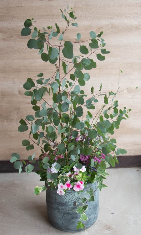 �桼����ɥݥݥ饹�ɤ� �֤���� �󤻿���[�饰���奢�꡼����ƥ� L]�⤵110cm��140cm