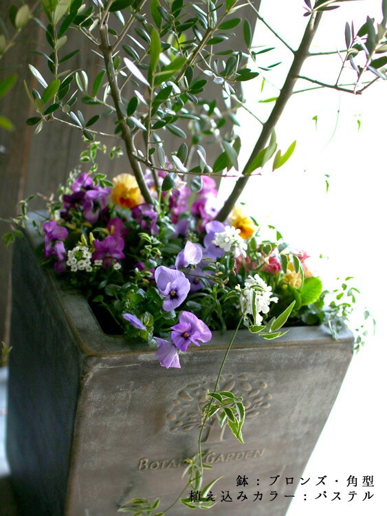 �桼����ɥݥݥ饹�ɤ� �֤���� �󤻿���[�饰���奢�꡼����ƥ� L]�⤵110cm��140cm