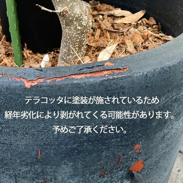 �桼����ɥݥݥ饹�ɤ� �֤���� �󤻿���[�饰���奢�꡼����ƥ� L]�⤵110cm��140cm