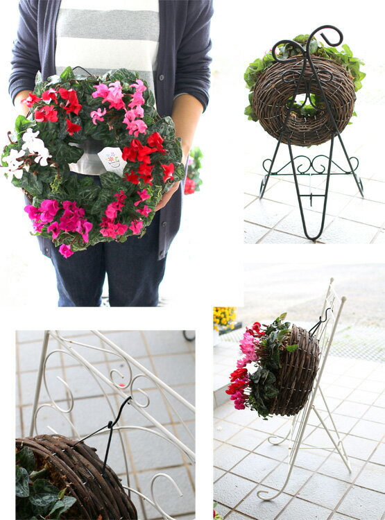 �꡼�� �󤻿����ڥ����ǥ󥷥�����Υϥ󥮥�*��󥰡�