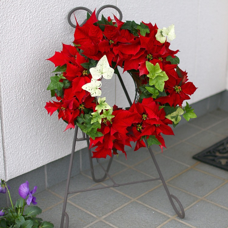 ե ϥ󥮥 ѡڥȥ쥹M۹⤵60cm ƱOK ޤꤿ߼ 