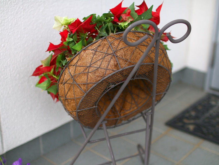 ե ϥ󥮥 ѡڥȥ쥹M۹⤵60cm ƱOK ޤꤿ߼ 