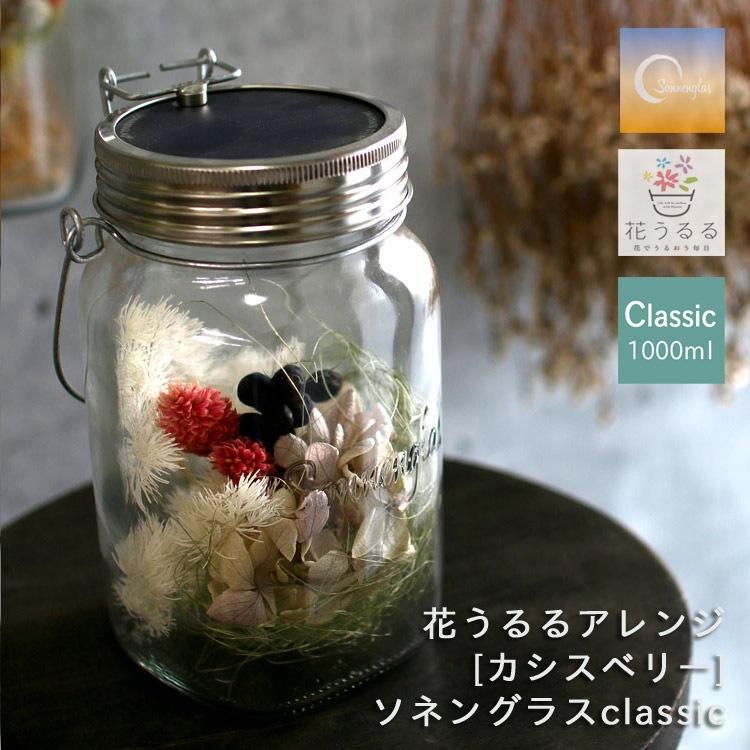 ¨ȯ ץ쥼 ͥ󥰥饹߲֤ڥ٥꡼Ź(ݾڽ 1000ml 󥿥 led 顼 ż ɺ ҳ ƥꥢ ץ쥼 ۽ˤ 饤   եե   ɥ饤ե  Ϸ