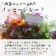 ����ŷ���Ǥ⸵�����֤���� �ϥ󥮥� �󤻿���[���ꥦ�� MIX(����ץ�] 