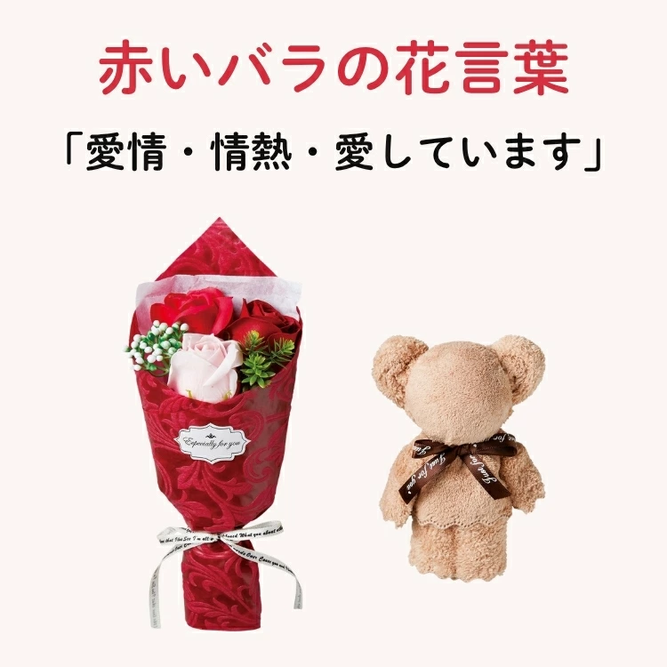 ������� �֤���롿�ڥ��ޤ��󥿥���ȥ����ץե� ����6��