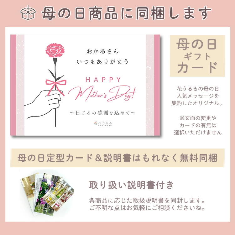 ������� �֤���롿�ڥ��ޤ��󥿥���ȥ����ץե� ����6��