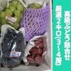 【厳選G21】高級ぶどう詰合せ【3〜4房】　9月1日以降発送