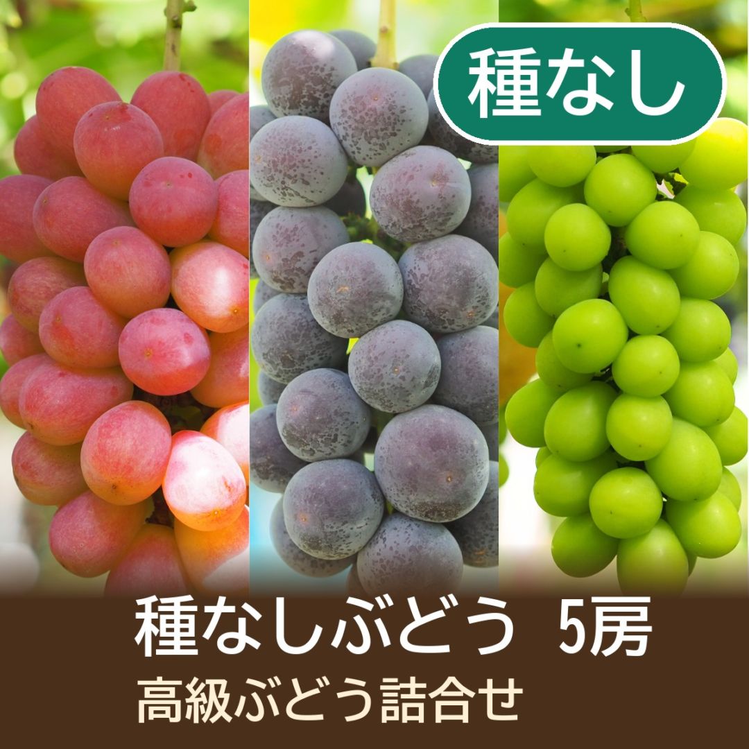 【G39】高級ぶどう種なし5房詰合せ【9月1日以降発送】