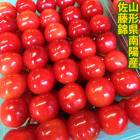 送料無料！予約商品6月中旬〜7月初旬お届け★南陽産さくらんぼ佐藤錦1キロ手詰め最高級品・贈答用★