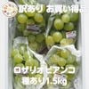 ロザリオビアンコ1.5ｋｇ（種あり）訳ありお買得品！