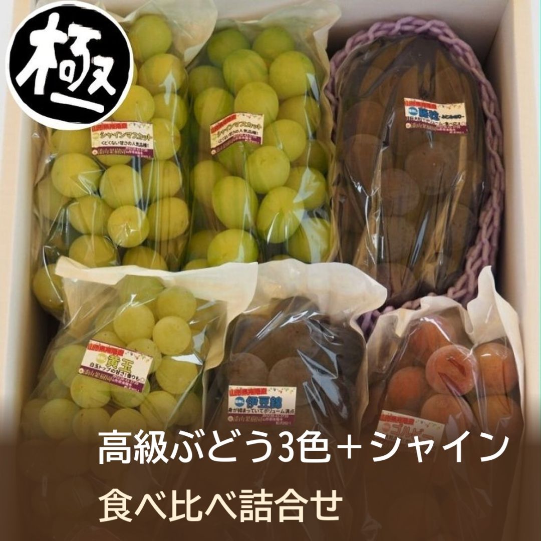【極】【G25A】高級ぶどう3色とシャインマスカットの詰合せ(9月以降のお届け)
