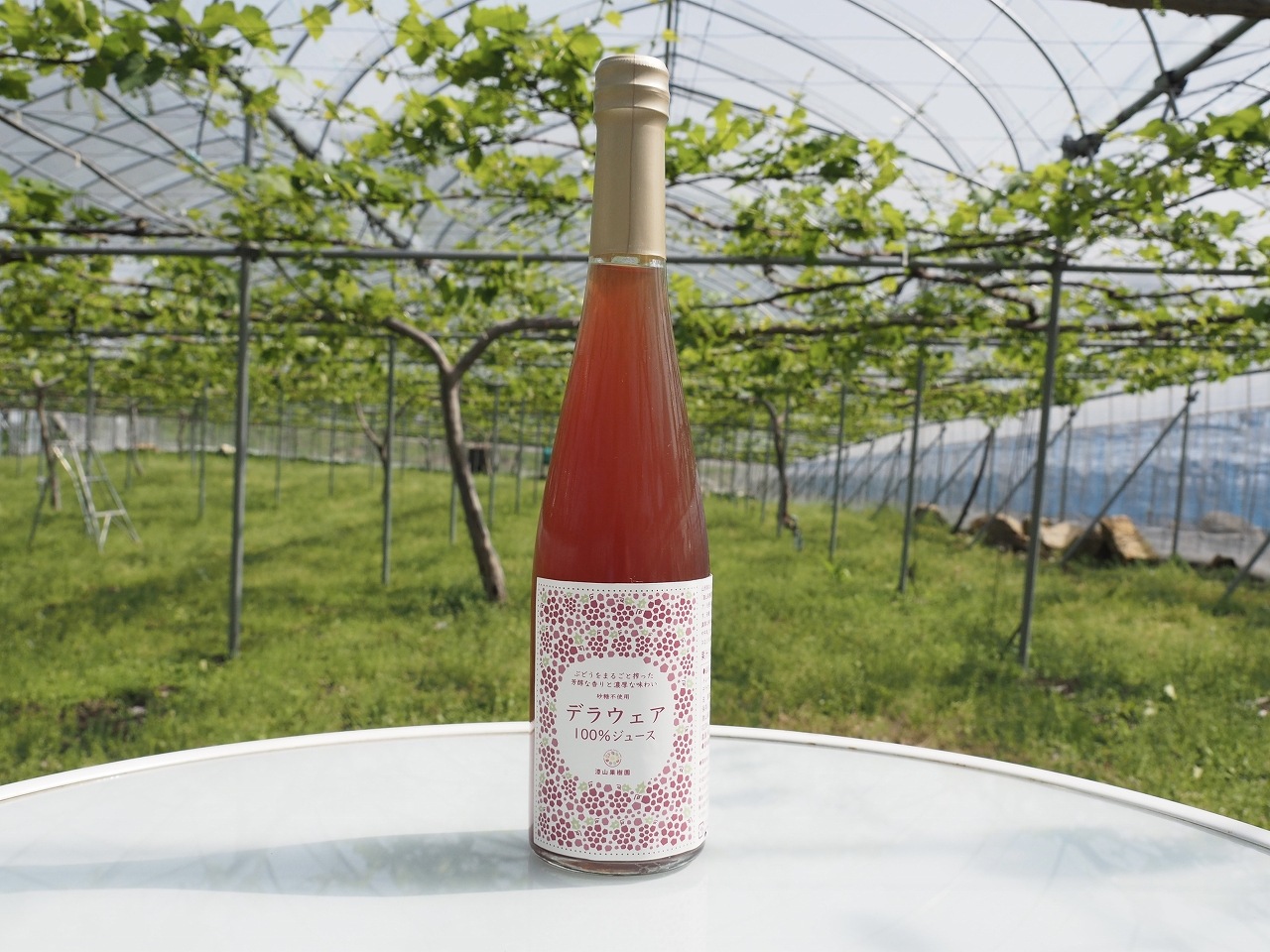 農家直売^ ^無添加無添加デラウェアジュース　７年度新物！ 果汁100％ジュース「デラウェア」500ml | ジュース | 漆山果樹園