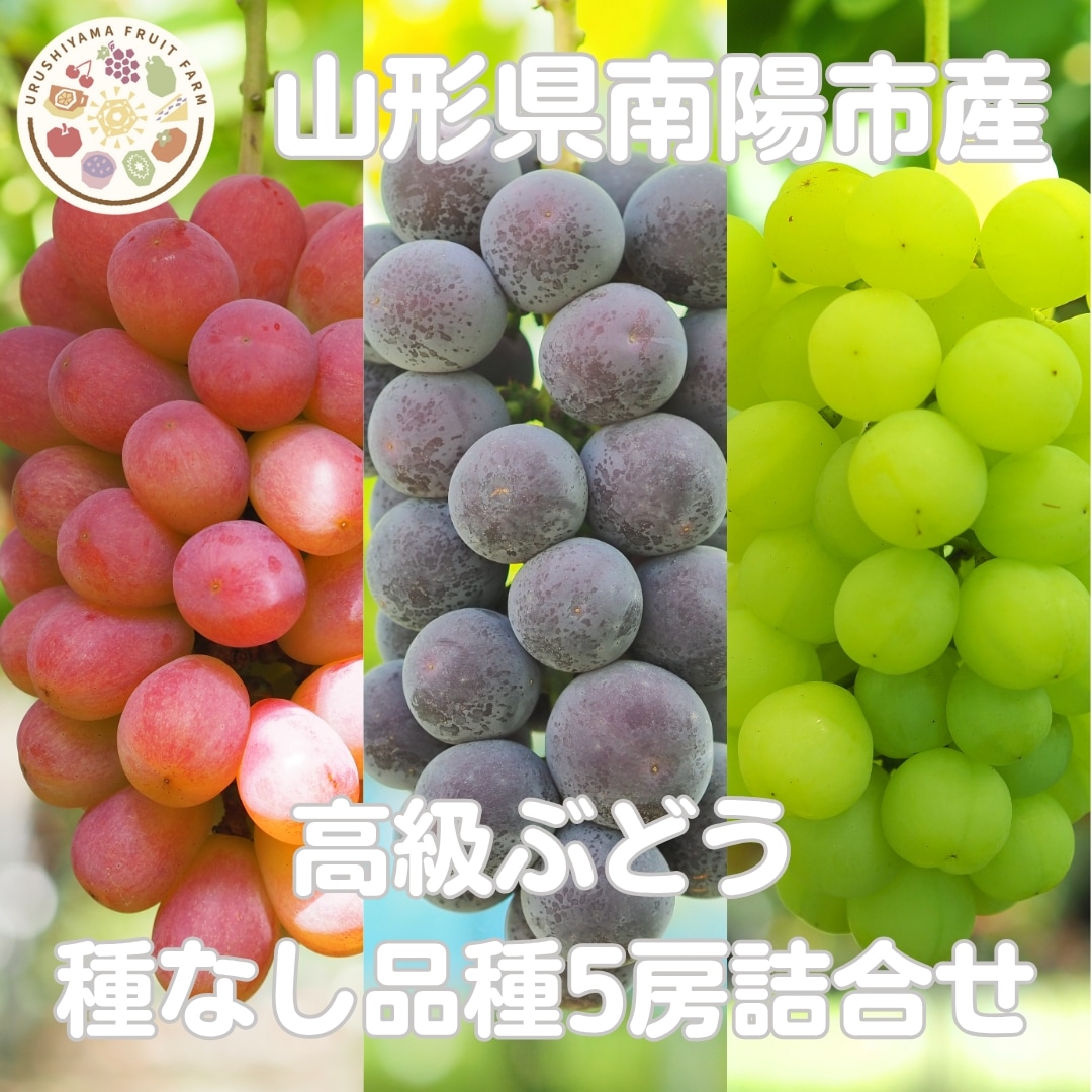 G39】高級ぶどう種なし5房詰合せ【9月1日以降発送】 | ぶどう | 漆山