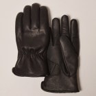 Powwow/The Gauntlet Type Street�ʥѥ��復 �쥶���������֡˥֥�å� [a-3469]