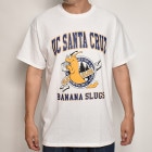 UCSC Banana Slugs S/S T-Shirt（ユニバーシティオブカリフォルニア,サンタクルーズ Tシャツ）ホワイト [a-5979]